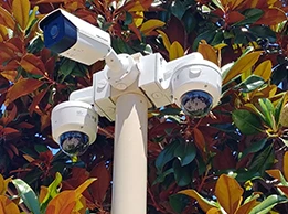 Can Local Experts Help You Choose the Right Pole Technology 261 x 194-1