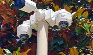 1 Choose the Right Light Pole Material_ Steel, Aluminum, or Fiberglass for Every Need 278 x 208